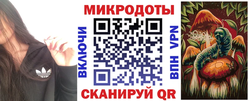 блэк спрут tor  Тарко-Сале  Галлюциногенные грибы Psilocybe 